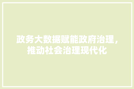 政务大数据赋能政府治理，推动社会治理现代化
