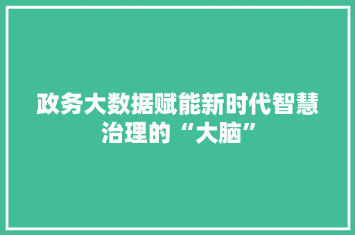 政务大数据赋能新时代智慧治理的“大脑”