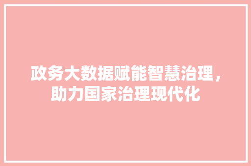 政务大数据赋能智慧治理，助力国家治理现代化 电脑故障维修