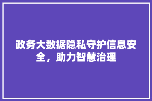 政务大数据隐私守护信息安全，助力智慧治理 电脑故障维修