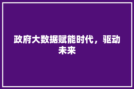 政府大数据赋能时代，驱动未来