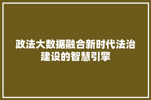 政法大数据融合新时代法治建设的智慧引擎