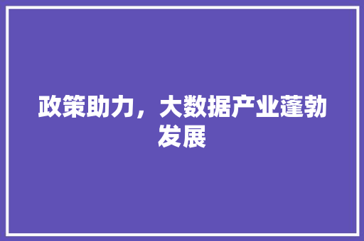 政策助力，大数据产业蓬勃发展