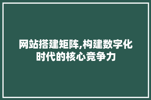 网站搭建矩阵,构建数字化时代的核心竞争力 网站搭建矩阵,构建数字化时代的核心竞争力 网络技术