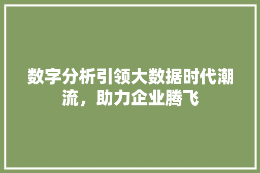 数字分析引领大数据时代潮流，助力企业腾飞