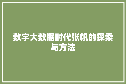 数字大数据时代张帆的探索与方法
