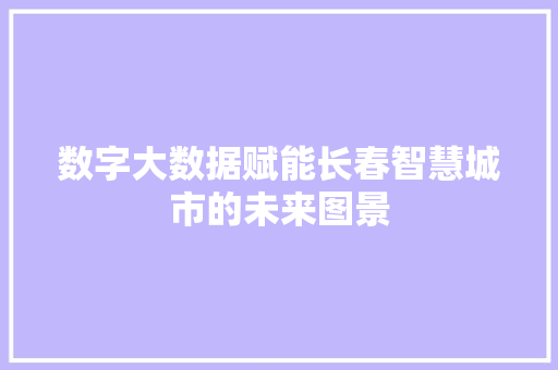 数字大数据赋能长春智慧城市的未来图景