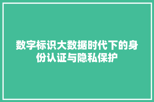 数字标识大数据时代下的身份认证与隐私保护