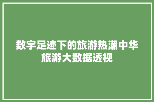 数字足迹下的旅游热潮中华旅游大数据透视
