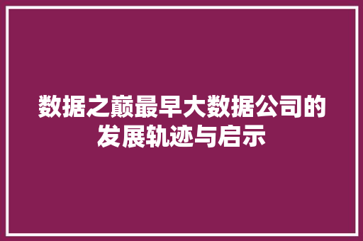 数据之巅最早大数据公司的发展轨迹与启示 编程语言