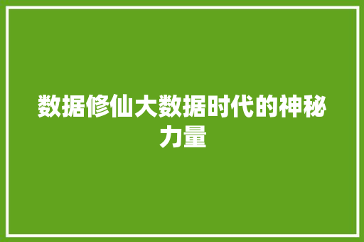 数据修仙大数据时代的神秘力量