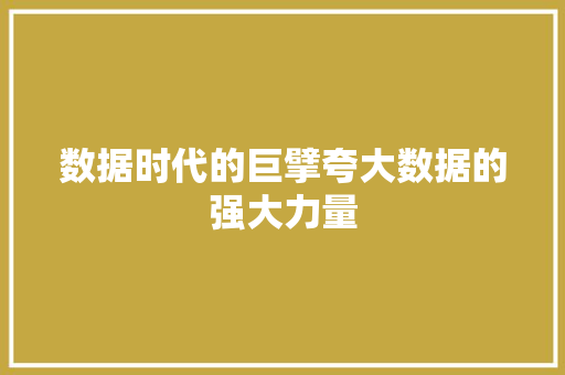 数据时代的巨擘夸大数据的强大力量