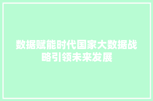 数据赋能时代国家大数据战略引领未来发展