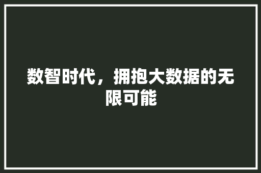 数智时代，拥抱大数据的无限可能