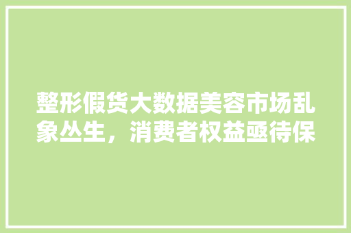 整形假货大数据美容市场乱象丛生，消费者权益亟待保护