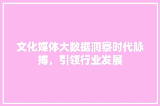 文化媒体大数据洞察时代脉搏，引领行业发展