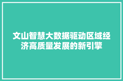 文山智慧大数据驱动区域经济高质量发展的新引擎 文山智慧大数据驱动区域经济高质量发展的新引擎