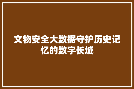 文物安全大数据守护历史记忆的数字长城 文物安全大数据守护历史记忆的数字长城