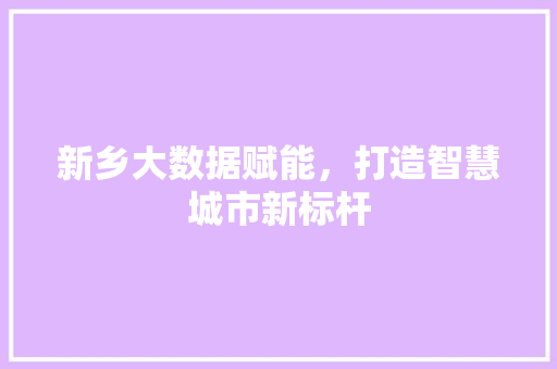 新乡大数据赋能，打造智慧城市新标杆