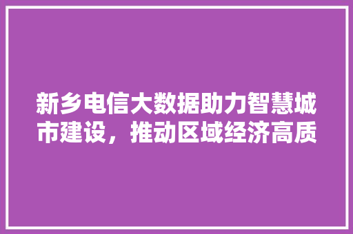 新乡电信大数据助力智慧城市建设，推动区域经济高质量发展
