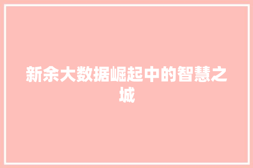 新余大数据崛起中的智慧之城