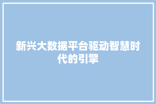 新兴大数据平台驱动智慧时代的引擎