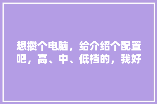 想攒个电脑，给介绍个配置吧，高、中、低档的，我好选择一下「电脑怎么看配置介绍图」