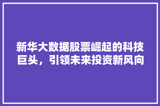 新华大数据股票崛起的科技巨头,引领未来投资新风向 新华大数据股票崛起的科技巨头,引领未来投资新风向