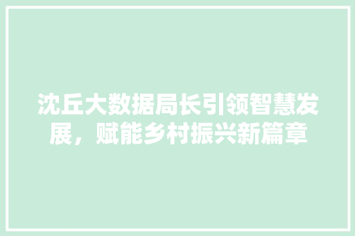 沈丘大数据局长引领智慧发展，赋能乡村振兴新篇章