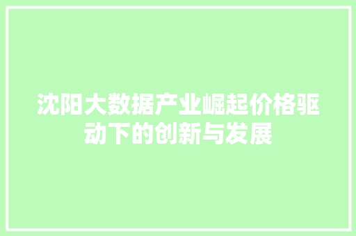 沈阳大数据产业崛起价格驱动下的创新与发展