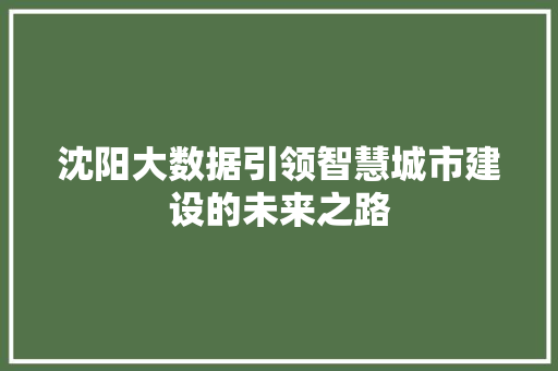 沈阳大数据引领智慧城市建设的未来之路
