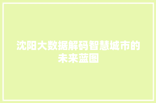 沈阳大数据解码智慧城市的未来蓝图