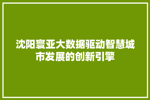 沈阳寰亚大数据驱动智慧城市发展的创新引擎