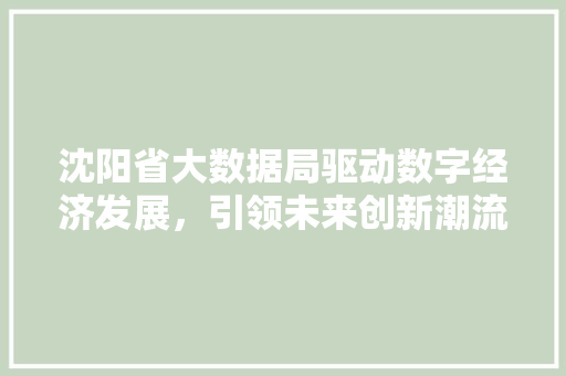 沈阳省大数据局驱动数字经济发展，引领未来创新潮流