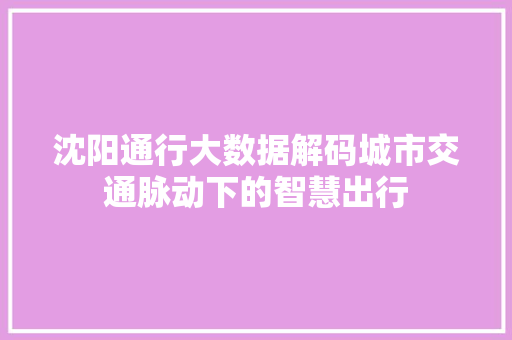 沈阳通行大数据解码城市交通脉动下的智慧出行