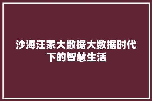 沙海汪家大数据大数据时代下的智慧生活
