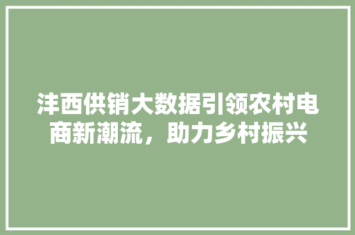 沣西供销大数据引领农村电商新潮流，助力乡村振兴