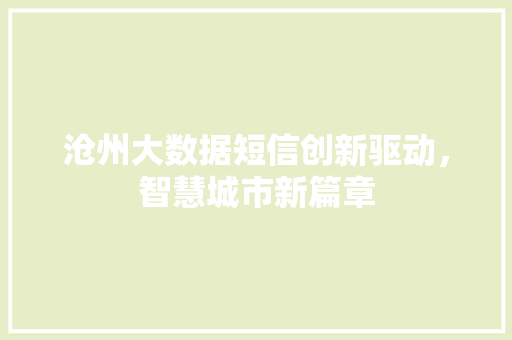 沧州大数据短信创新驱动，智慧城市新篇章