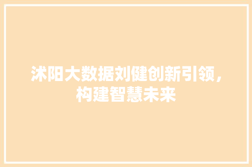 沭阳大数据刘健创新引领，构建智慧未来
