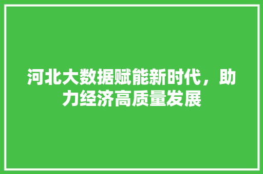 河北大数据赋能新时代，助力经济高质量发展