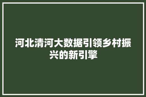 河北清河大数据引领乡村振兴的新引擎