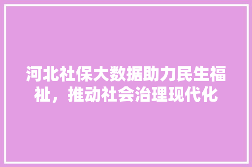 河北社保大数据助力民生福祉，推动社会治理现代化