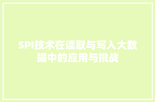 SPI技术在读取与写入大数据中的应用与挑战