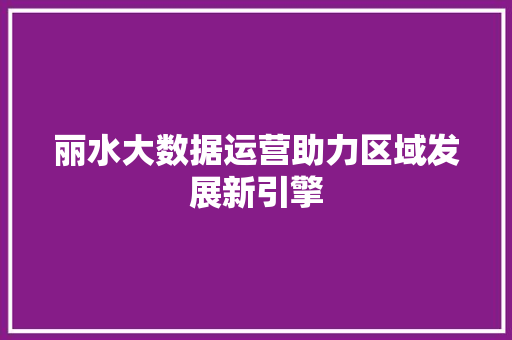 丽水大数据运营助力区域发展新引擎
