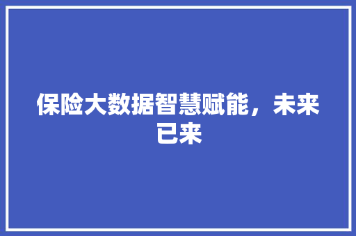 保险大数据智慧赋能，未来已来