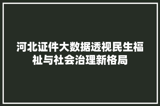 河北证件大数据透视民生福祉与社会治理新格局 电脑故障维修