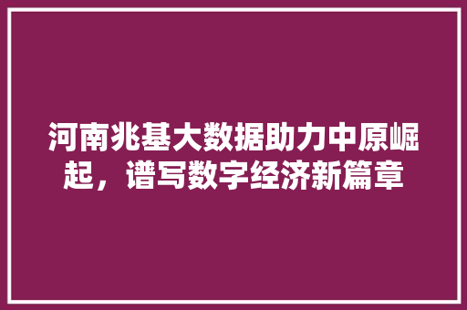 河南兆基大数据助力中原崛起，谱写数字经济新篇章