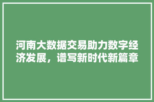 河南大数据交易助力数字经济发展，谱写新时代新篇章