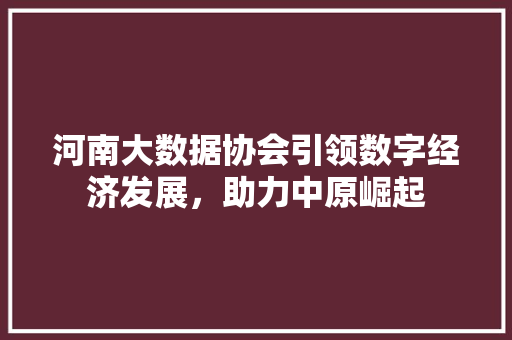 河南大数据协会引领数字经济发展，助力中原崛起