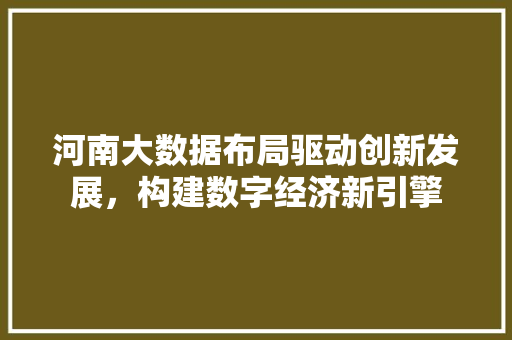 河南大数据布局驱动创新发展，构建数字经济新引擎